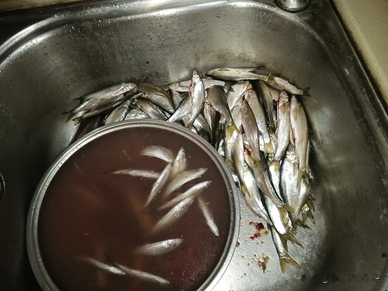 老婆的小姨夫送了一大包鱼给她，送到她单位的。用超市散称大米的那种塑料袋装的，放在