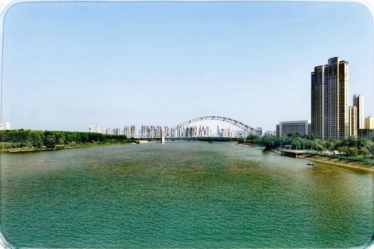 武汉汉阳四新南路之美
在武汉汉阳的时光长河，四新南路似璀璨的星河。阳光倾洒在街道