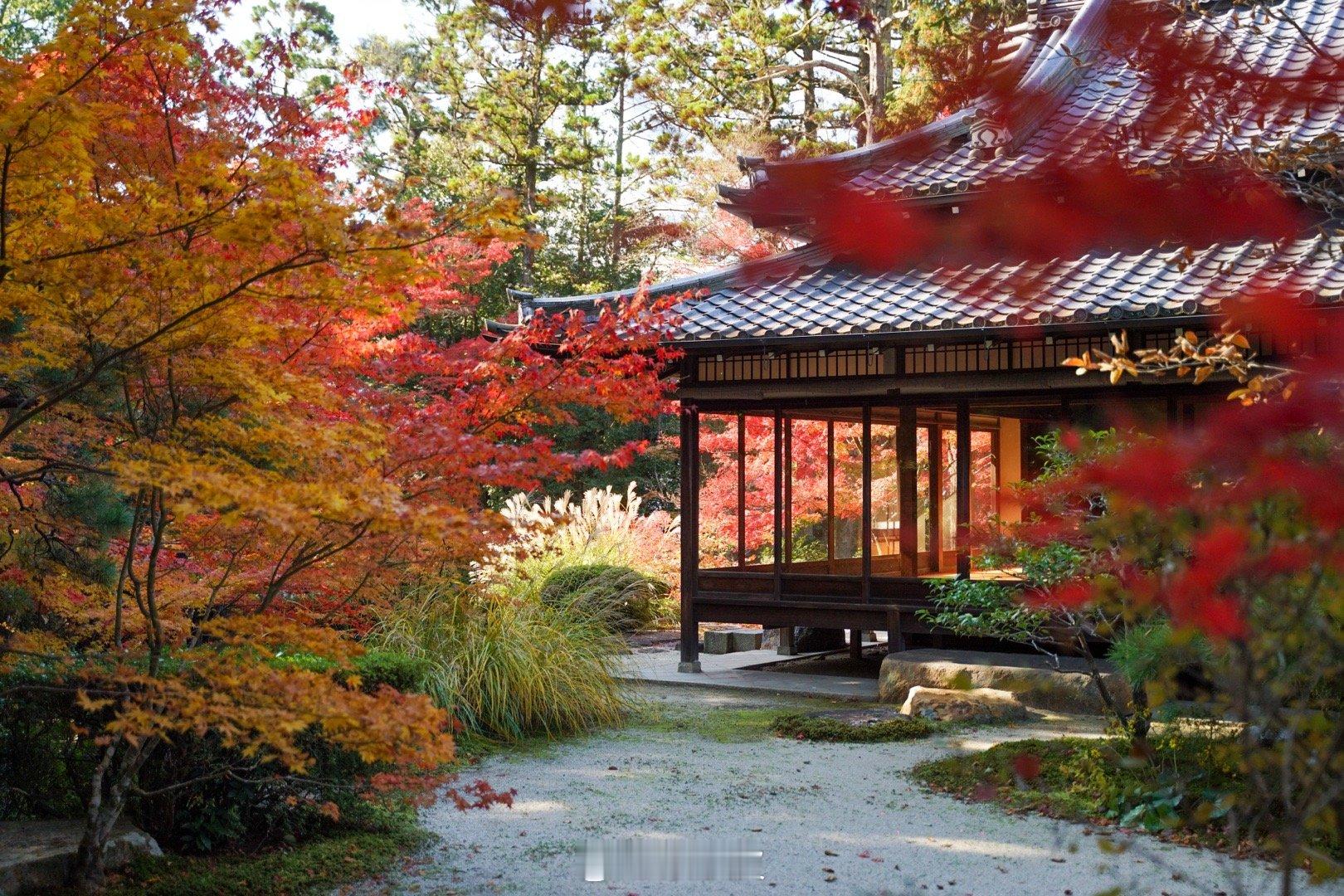 京都南禅寺的天授庵，没想到红叶季竟然这么美。天授庵的建筑和庭园设计反映了日本传统