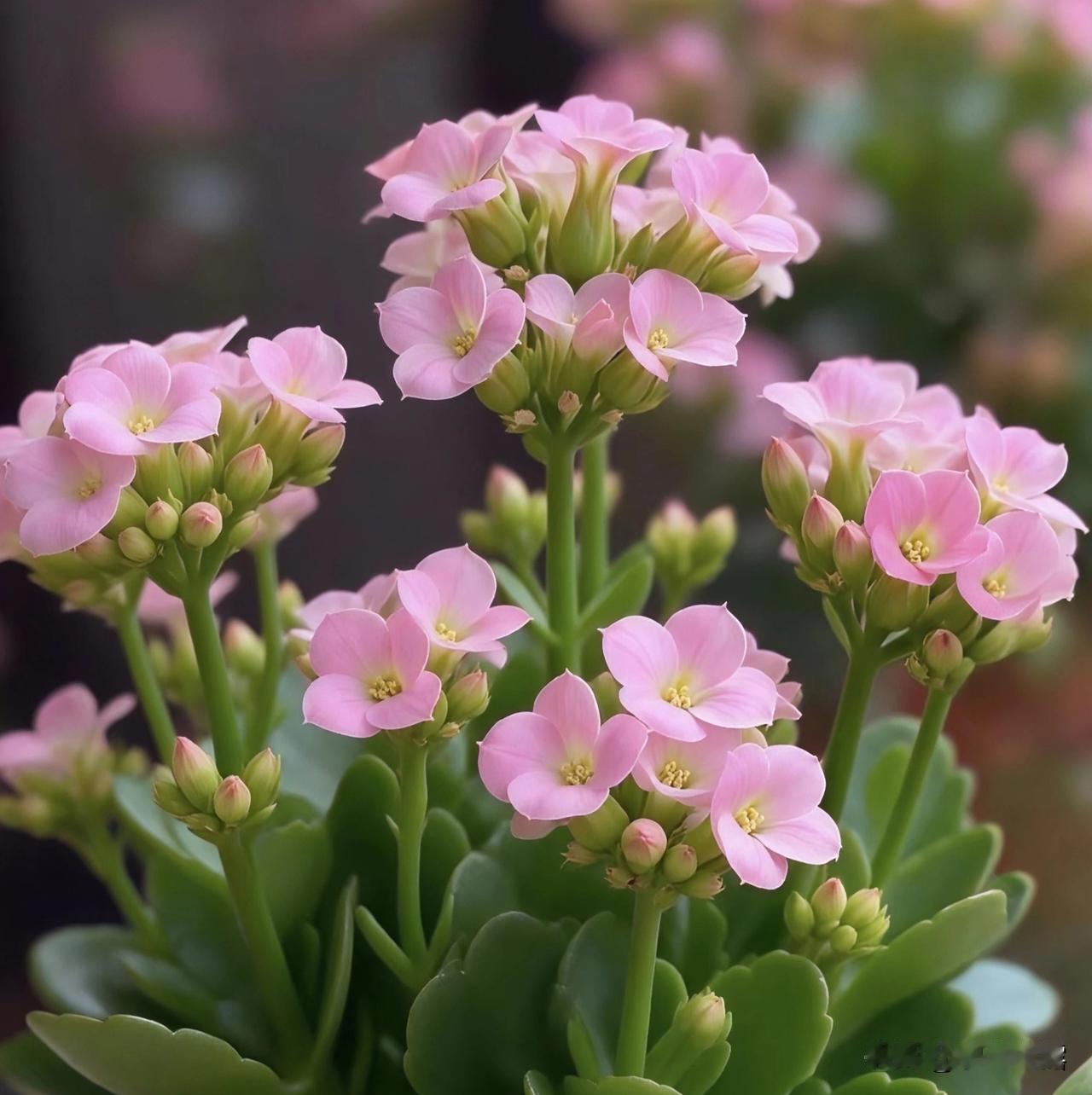 一鸣惊人、一帆风顺、
一针见血、一诺千金、

一清二楚、一石二鸟、
独一无二、数