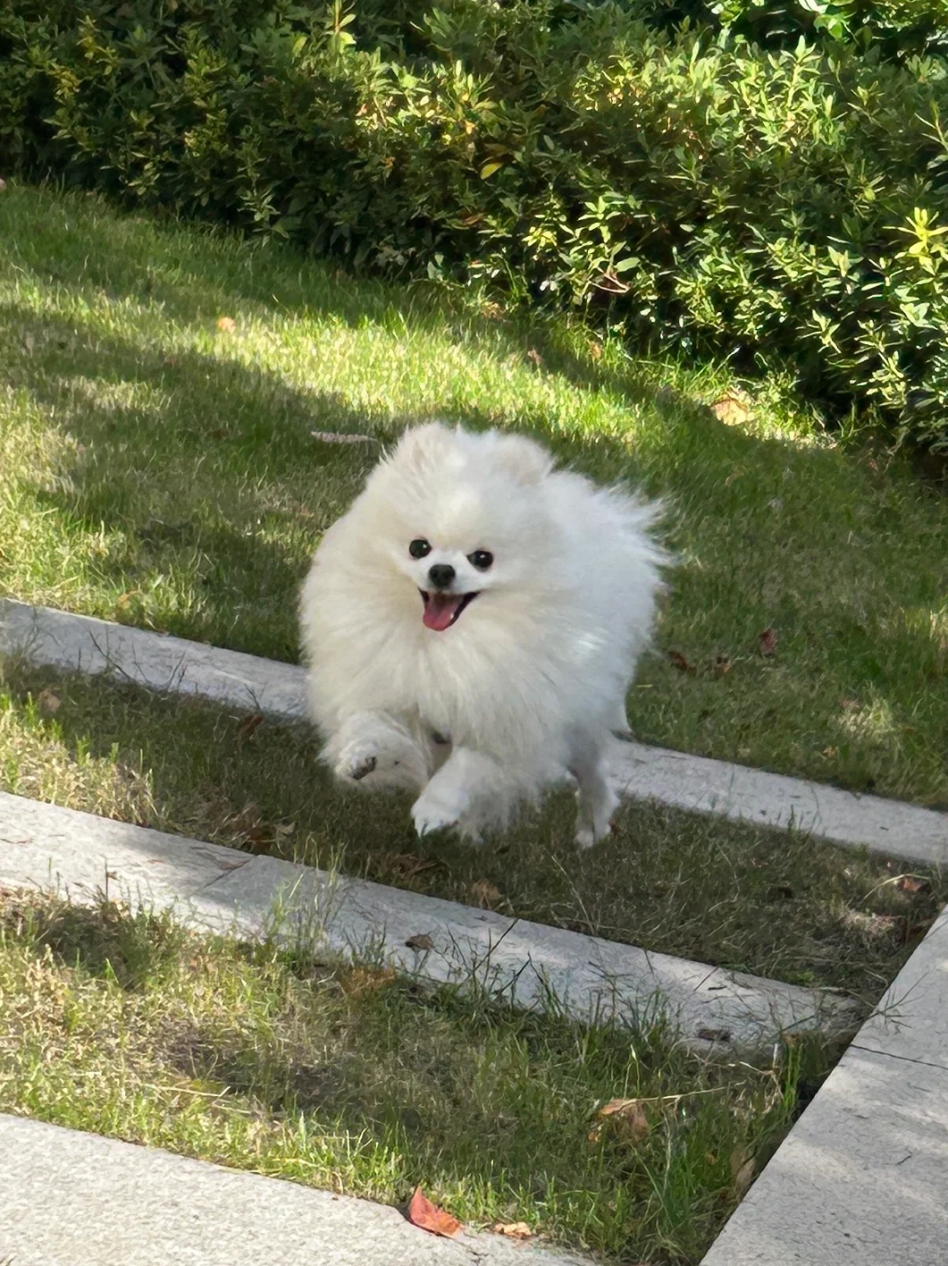 小兔子起飞
