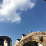 小猴猴侃侃体育
