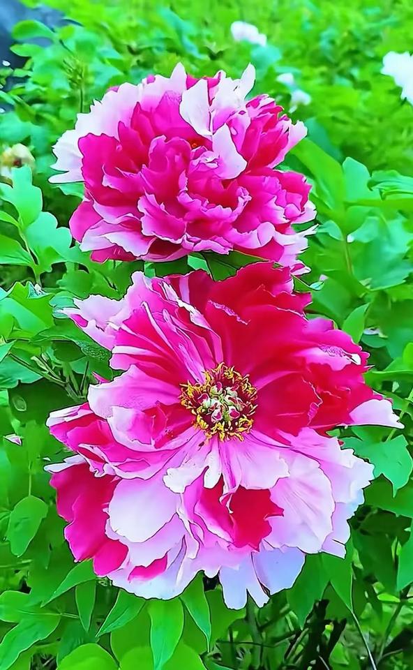 这个季节你去一趟，不枉此行。