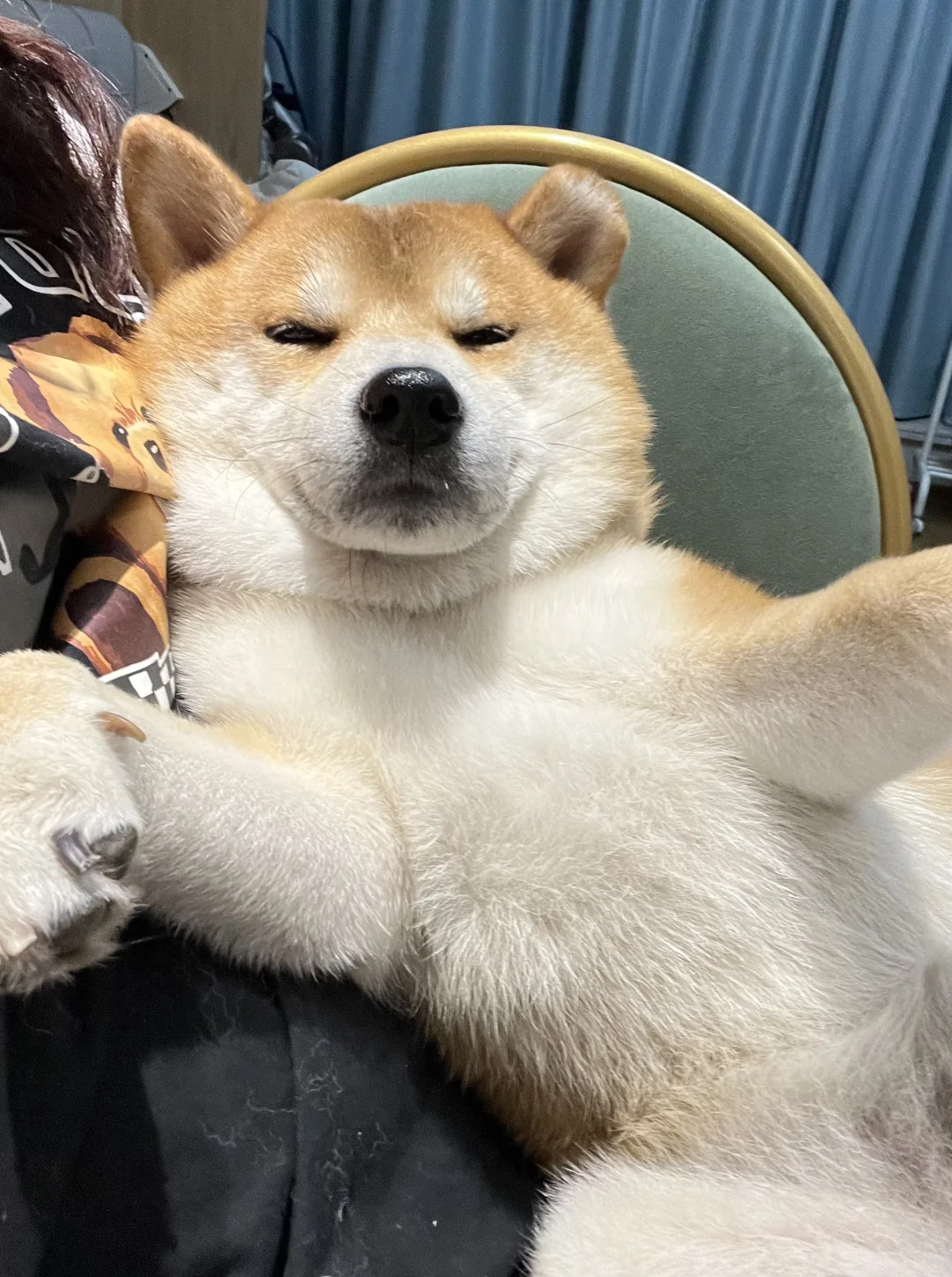 我睡了 我装的