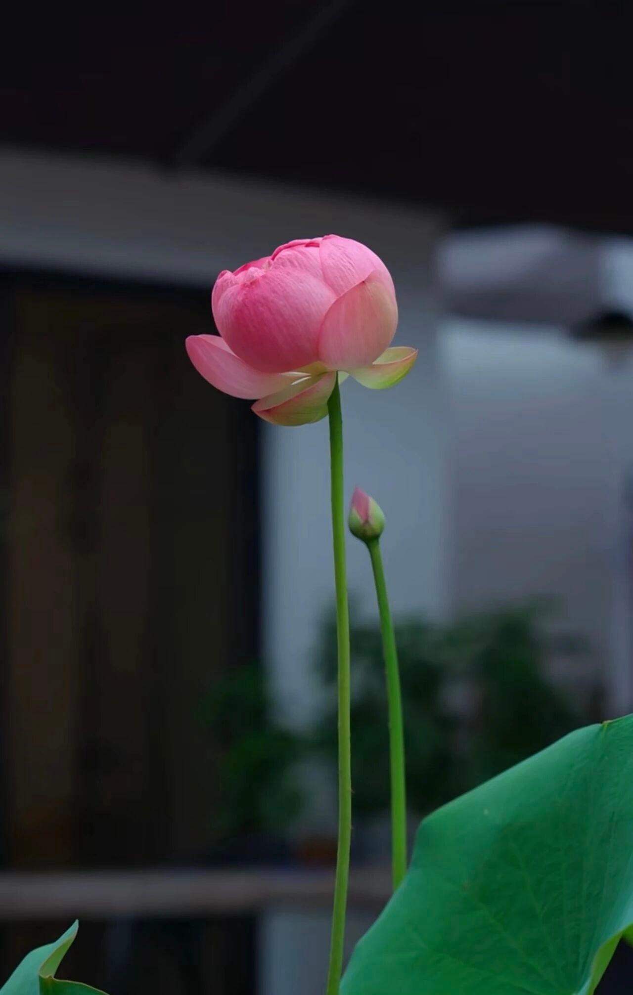 心理学家说：“朋友圈或社交账号，你完全可以看到周围人的态度，有些熟人只浏览不点赞