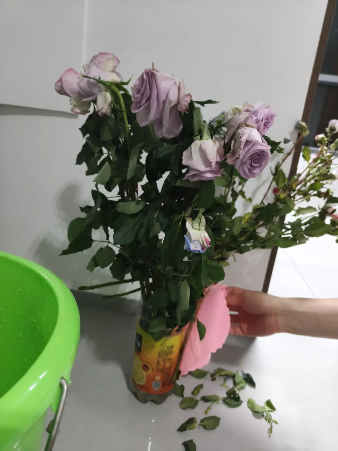 🎵买的花，真的差😅