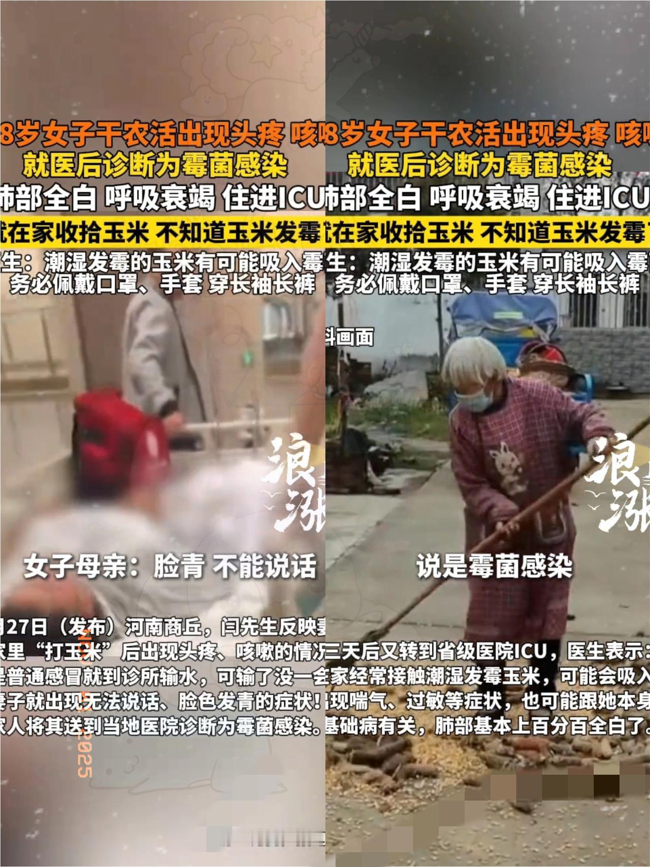 “悲剧还是发生了！”
河南商丘38岁农妇打玉米后肺全白，靠人工肺才救活的新闻，真