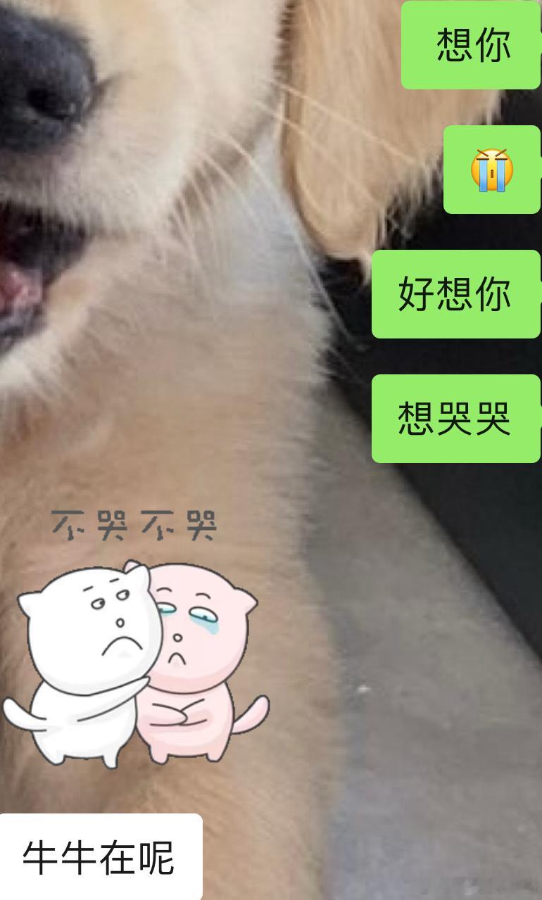 下周还要出差[泪] ​​​