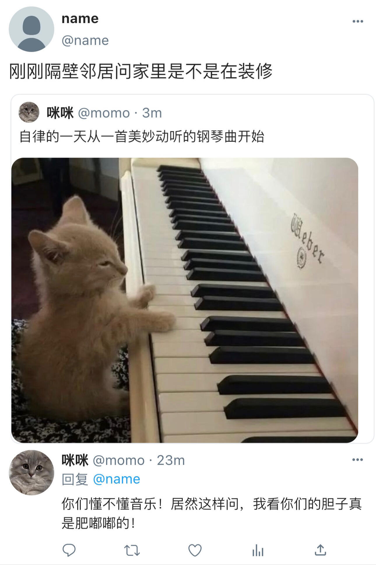 咪在家里“自律”的一天 ​​​