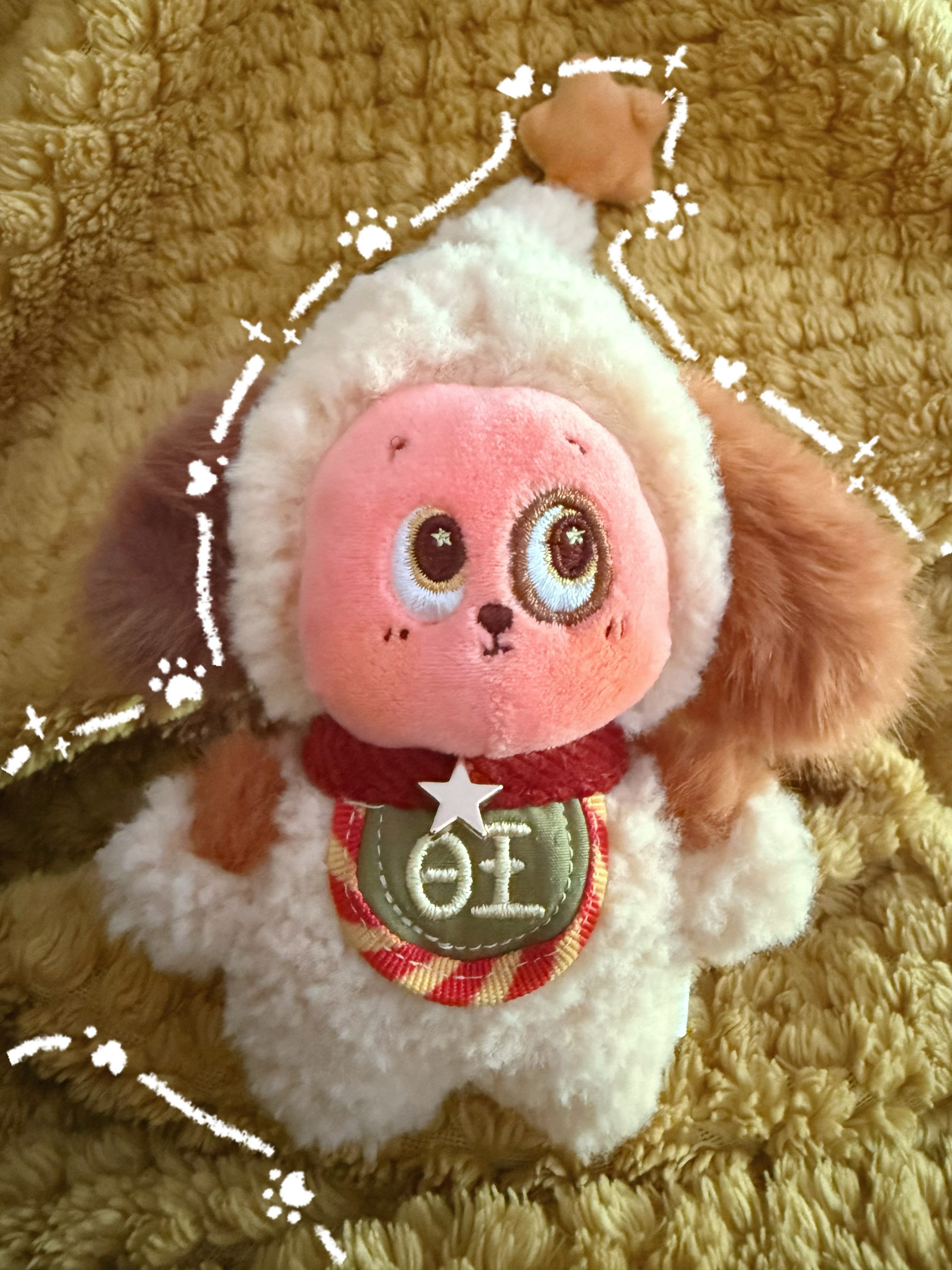 这只脸型饱满 很好👌🏻爱我你就叫一声，汪汪汪 