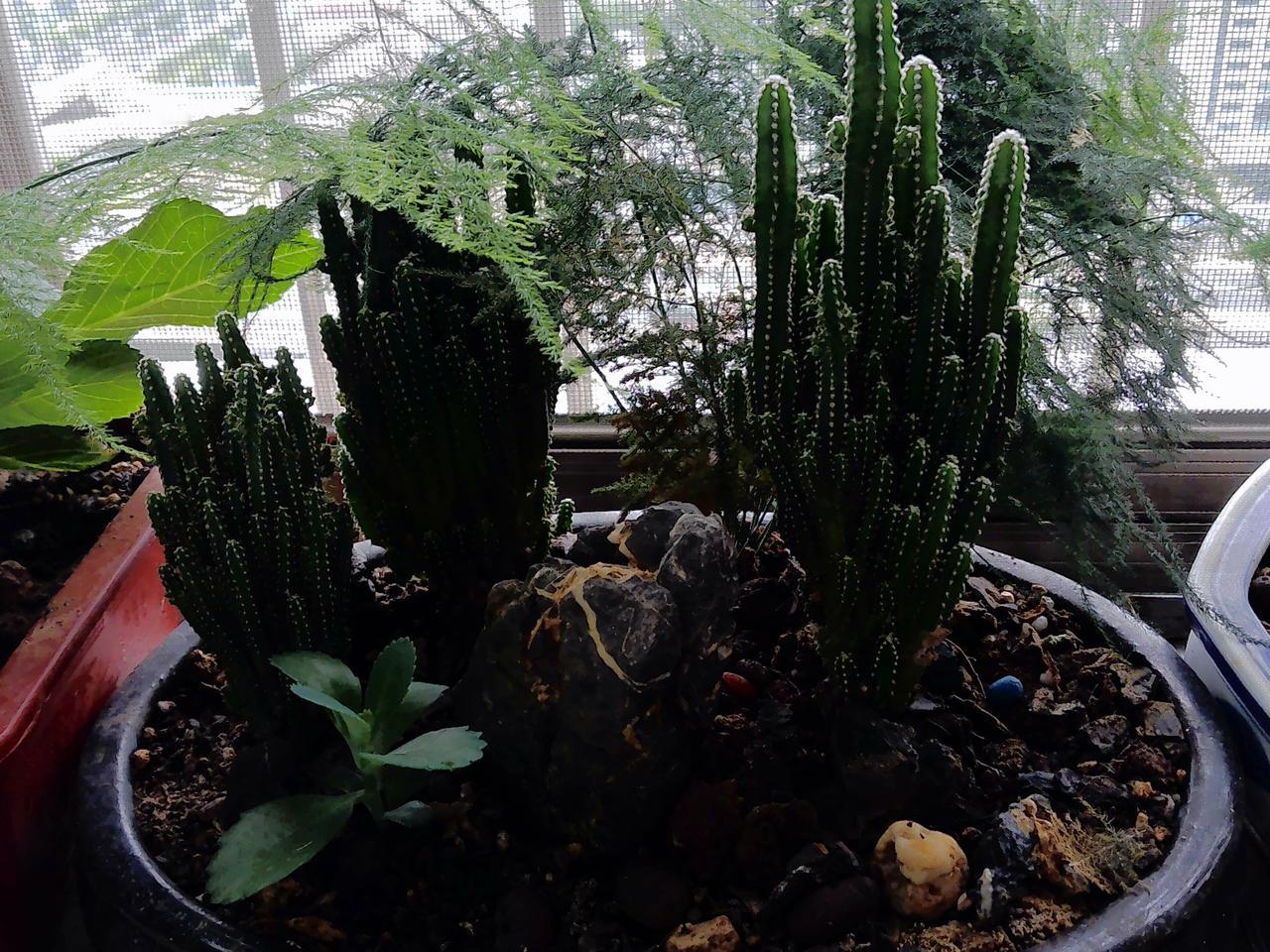 有心栽花花不开

凡事天注定
努力只能改善生活
不能改变命运
钱赚多少也是如此