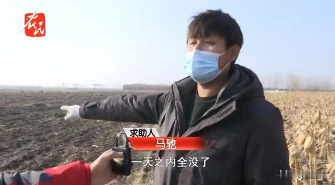 “真不要脸！”河北廊坊一男子包下某县镇30亩农田，用于种植花生，结果却一直没等到