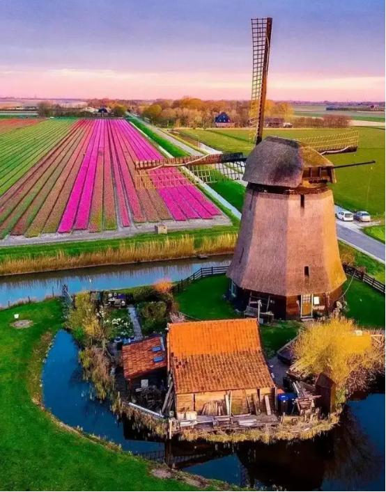 荷兰为什么打安世？不只是因为安世是中国企业，我估计主要是安世的客户里有比亚迪和宁