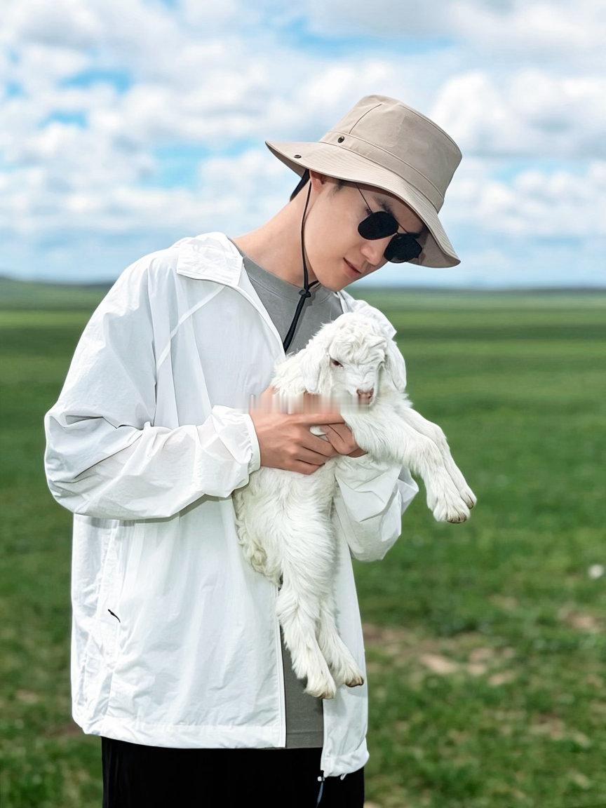 🐑羊抱了 