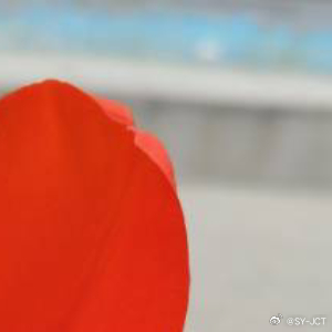 每日一善每日一善 感谢生活，感恩遇见。每一次的成长，都是生命的馈赠。正是因为有了