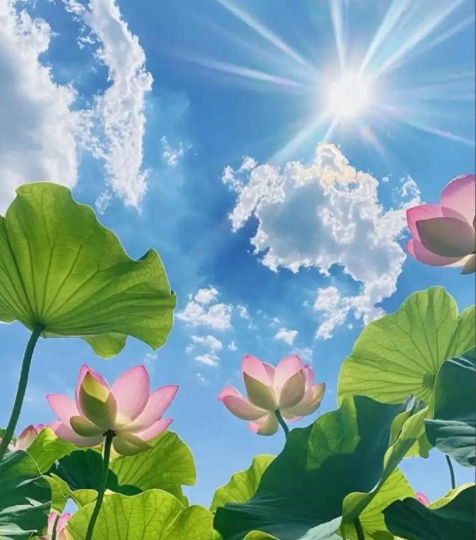 从5月开始“突然顺了”的6个星座，权威占星解读，接住好运

2026年5月，星象