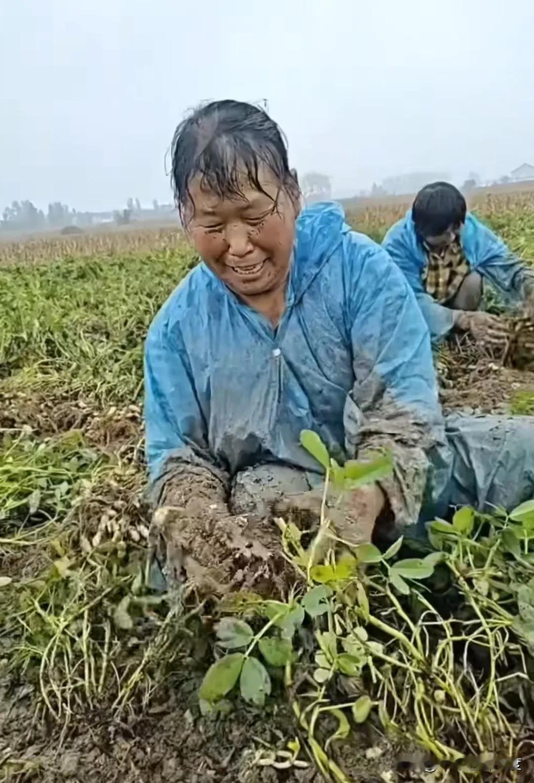 兄弟们呐！今后喝酒吃花生可要注意了，那一粒粒花生米可要夹稳了，千万别掉地下，就是