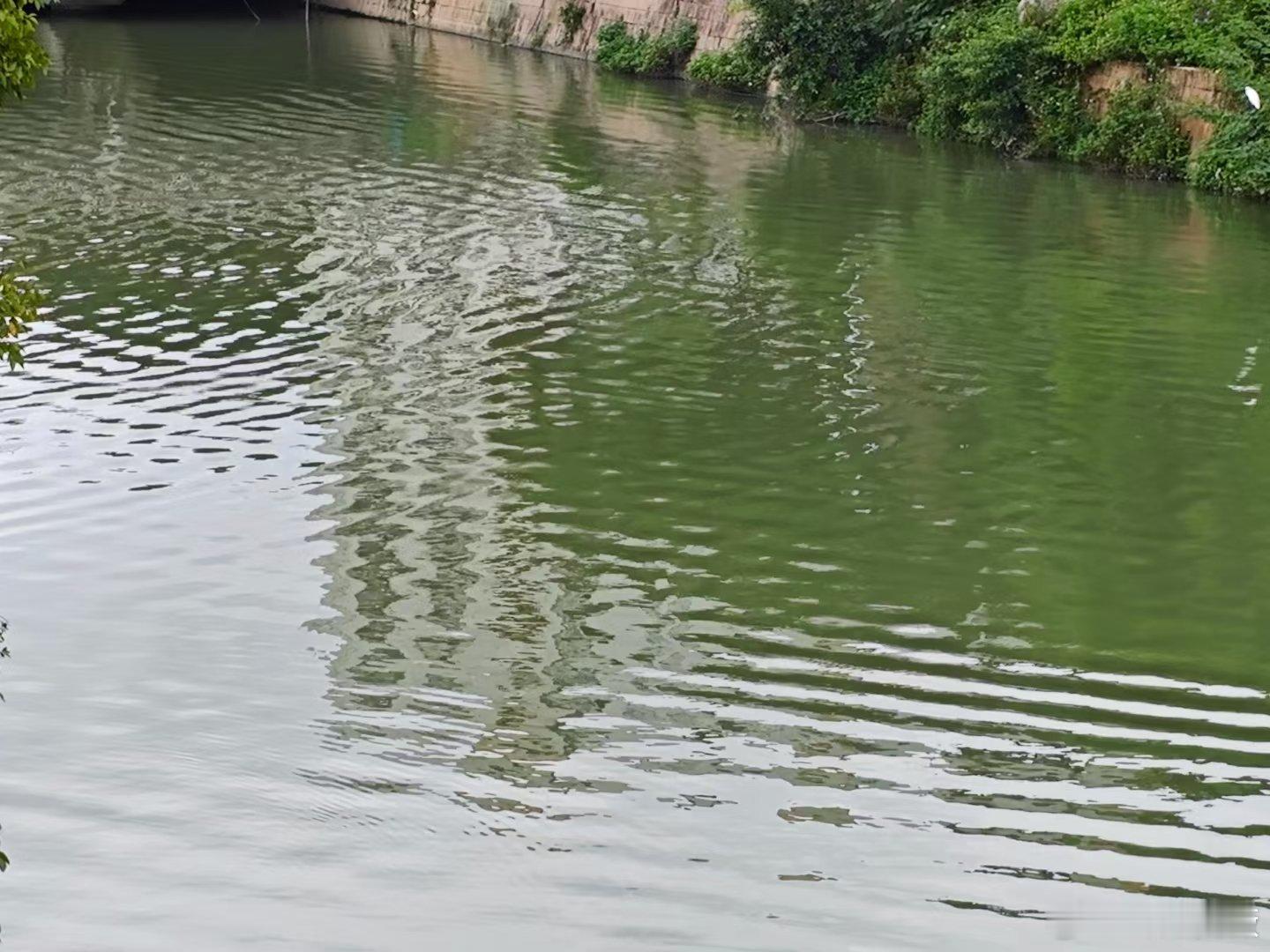 时间从来都是不讲道理的，拎走了谁、淘汰了谁，都不吭一声，费力与时间抗衡的人，后来