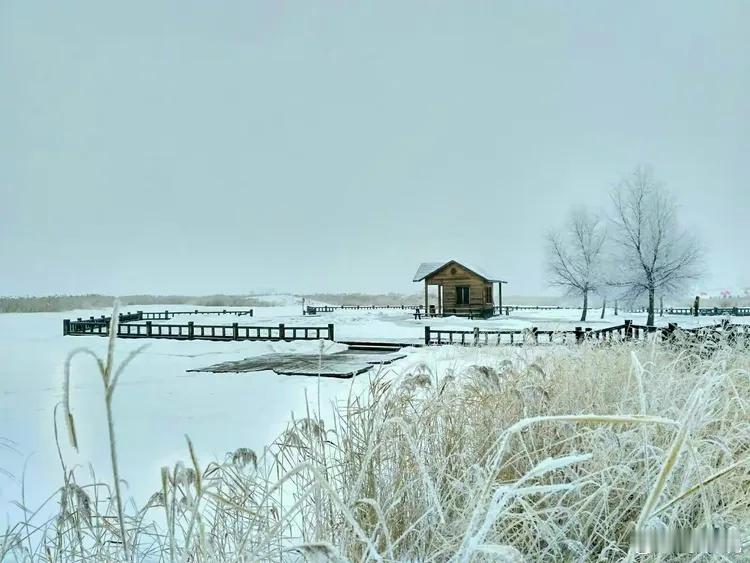 胡先煦于2025年11月16日在综艺《现在就出发》的录制间隙，通过个人微博发布了