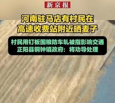 《河南驻马店有村民在高速收费站附近晒麦子 村民用钉板围粮防车轧被指影响交通正阳县