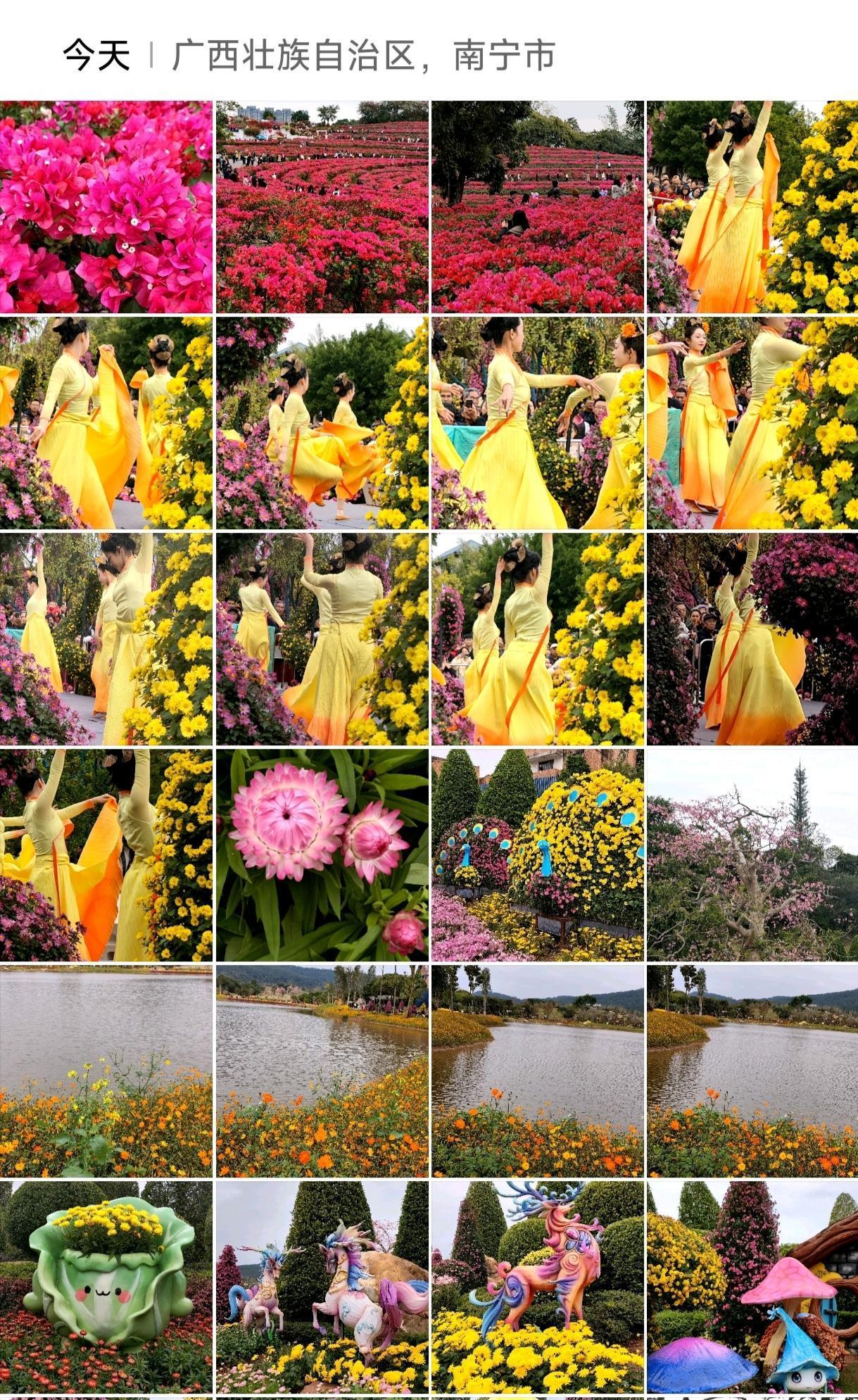 今天介绍广西南宁的景点就是青秀山植物园，坐小火车游园，看靚女跳舞，看菊花展。