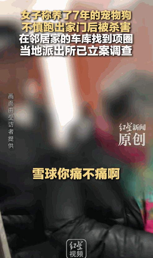 江苏昆山，女子没关好门，家里的狗跑了出去，结果被邻居老人剥了皮把肉卖了。女子和丈