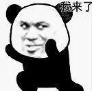 肖战和经纪人谈过？
 
 每日问答 
 
 
 The First Questi