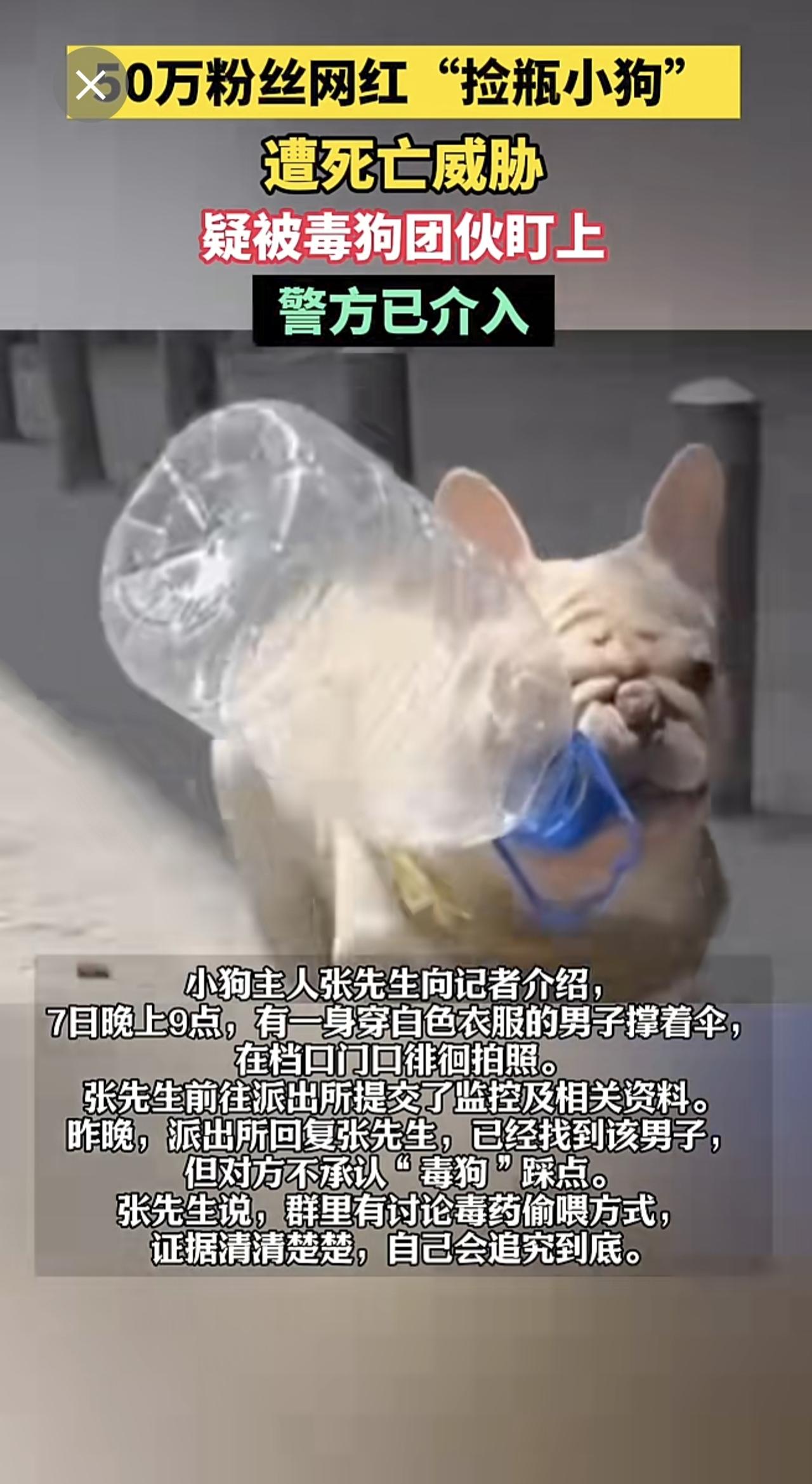 5月9日（报道），50万粉丝网红“捡瓶小狗”遭死亡威胁，疑被毒狗团伙盯上，警方已