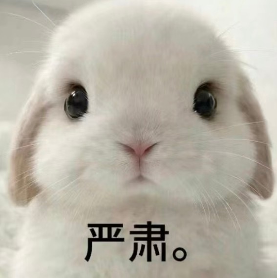 Hello~6.5最喜欢rz的红b来啦（画日和坠坠 简称rz），接下来请继续膏肓