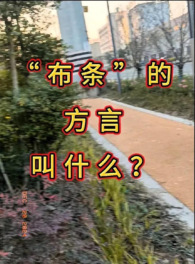 “布条”的方言版叫什么？河南的方言叫“布柳子”具体是哪个字，我真的记不清楚了😓