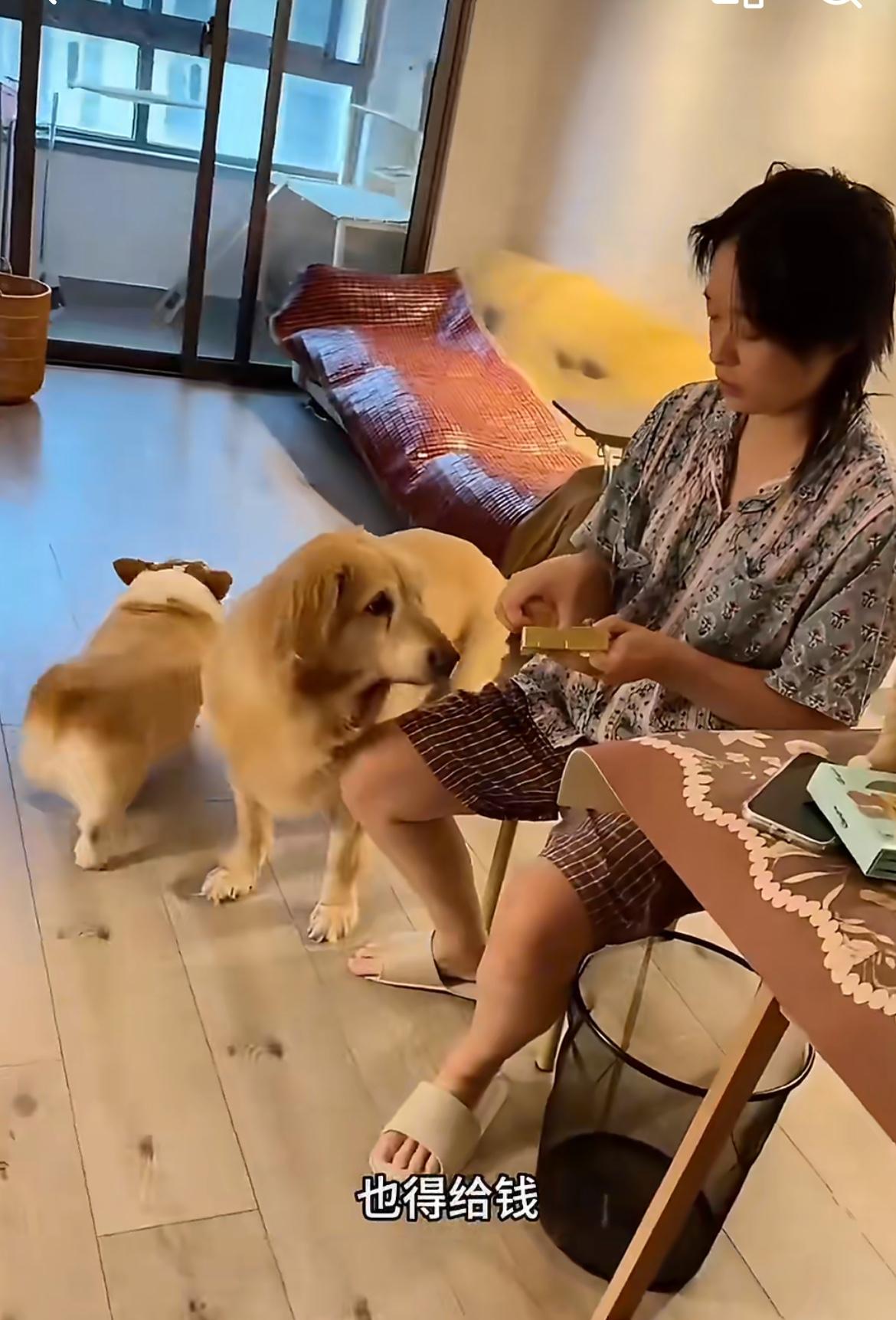 一个老母亲吐槽，独居的女儿养了两只狗、三只猫，却不谈恋爱不结婚，更不生孩子，呼吁