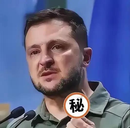 泽连斯基向全世界表明了自己的态度：乌克兰可以向俄罗斯投降，甚至乌克兰也可以不加入