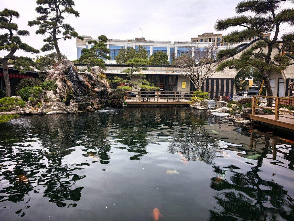 对着锦鲤池，喝杯清静咖啡此时应该有茶这庙不错，下次来抄经 