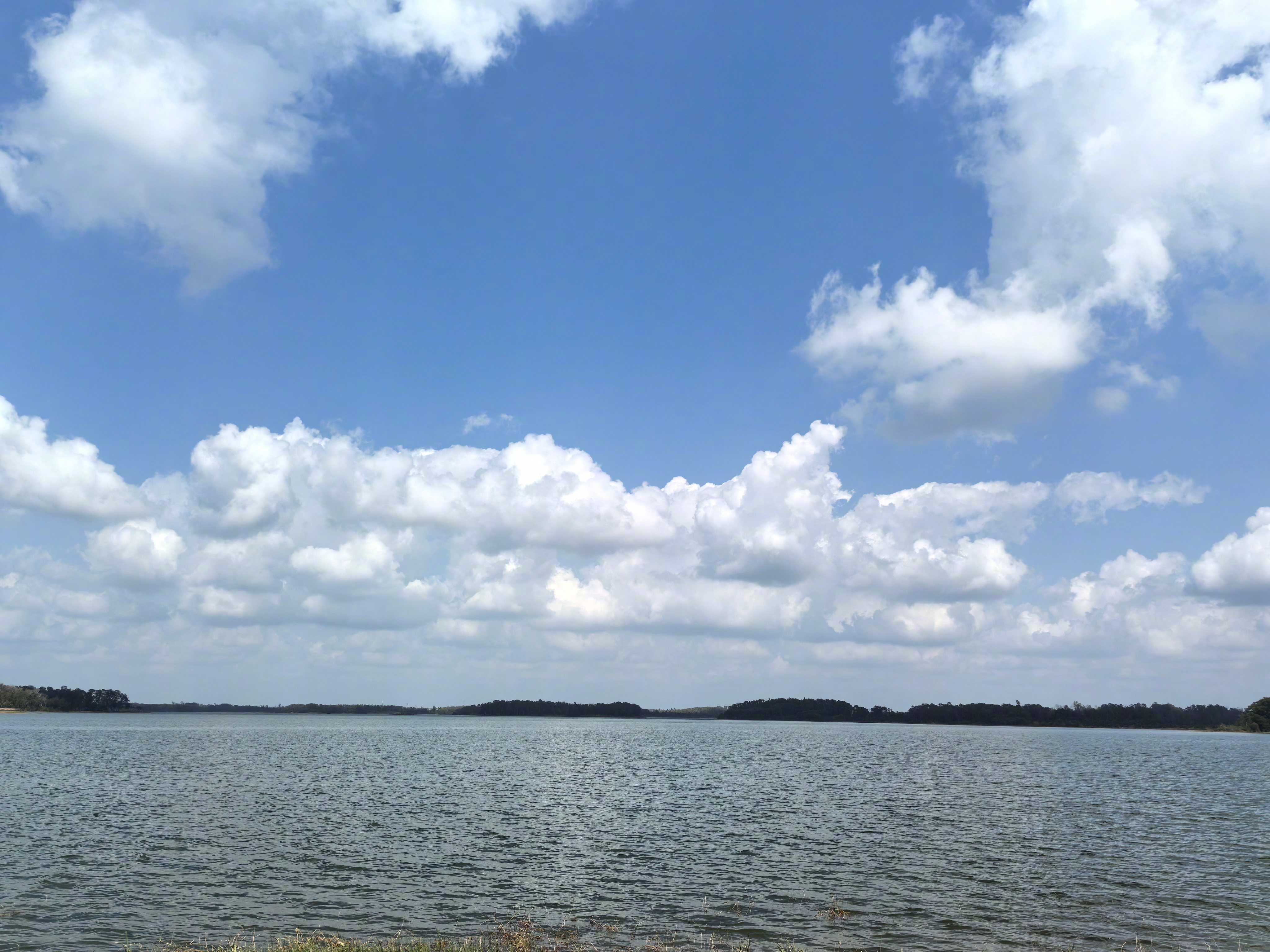 新年自驾游 定安·海南南丽湖国家湿地公园