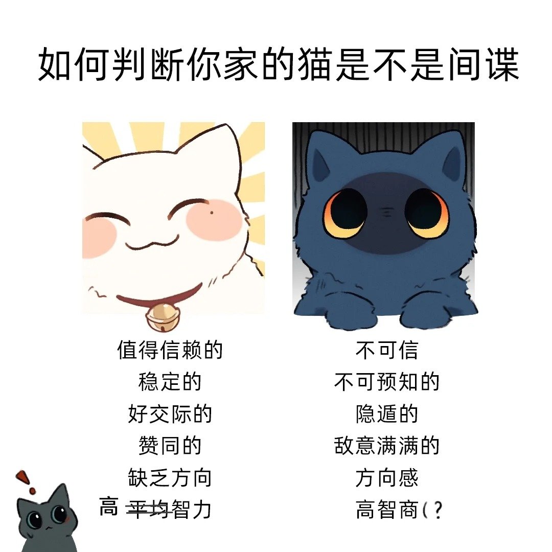 如何判断你家的猫是不是间谍可爱的景咪芝麻酥糯米团生来就是要被我一口吃掉的嘿嘿嘿嘿