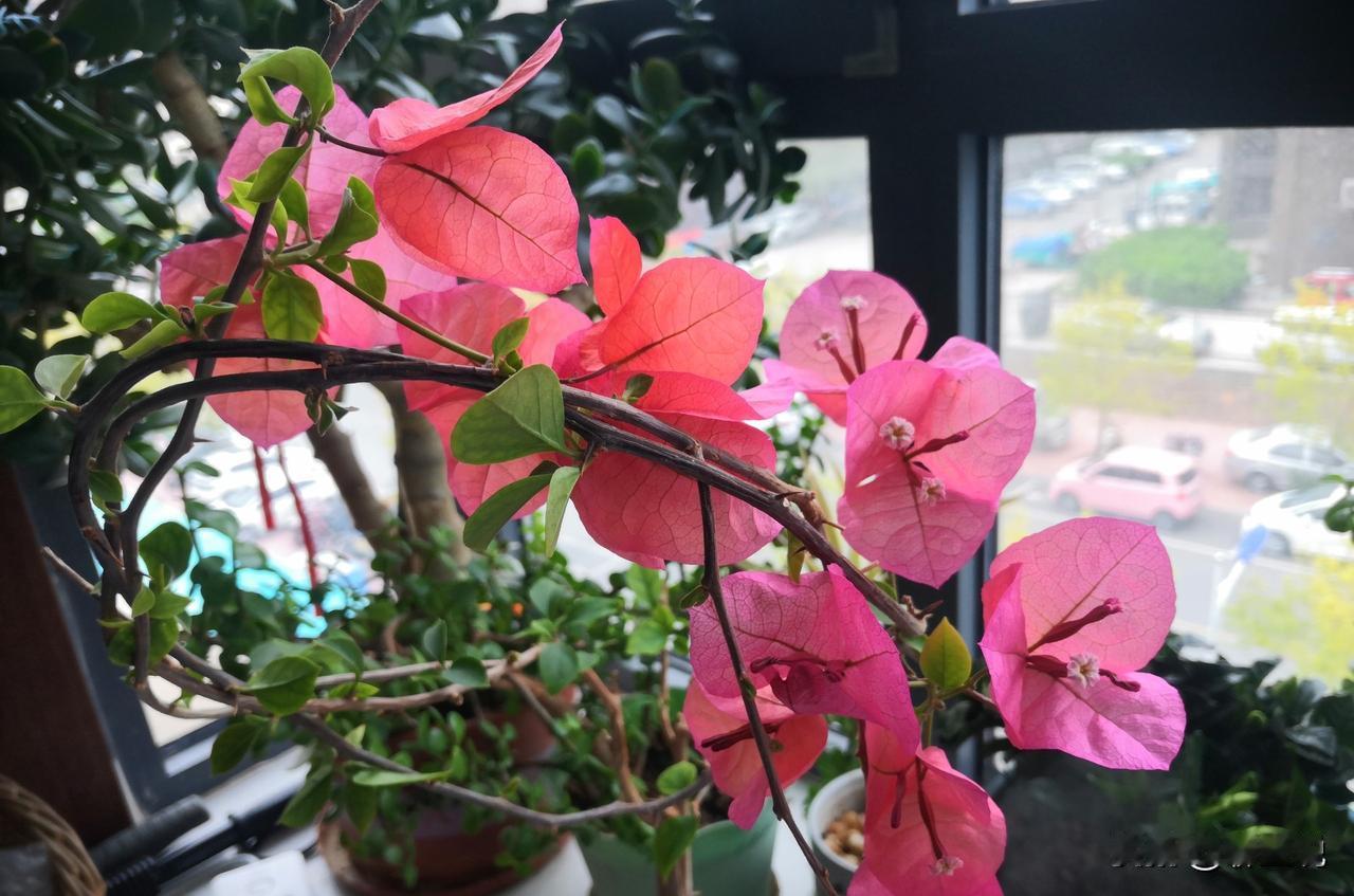 最好的“风水”，是那份不动摇的善意

 
 
常听人谈论“风水”，求的是摆件镇煞