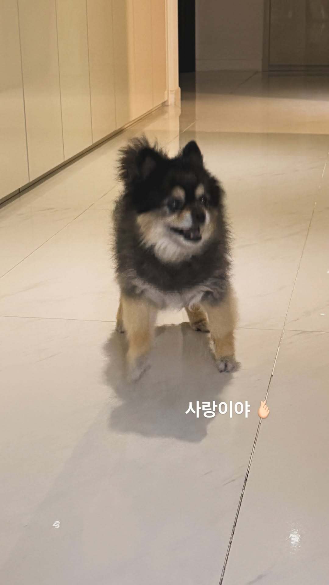 “CB百蓝_。260408金钟云 ins story更新：爱你呀🫰🏻 