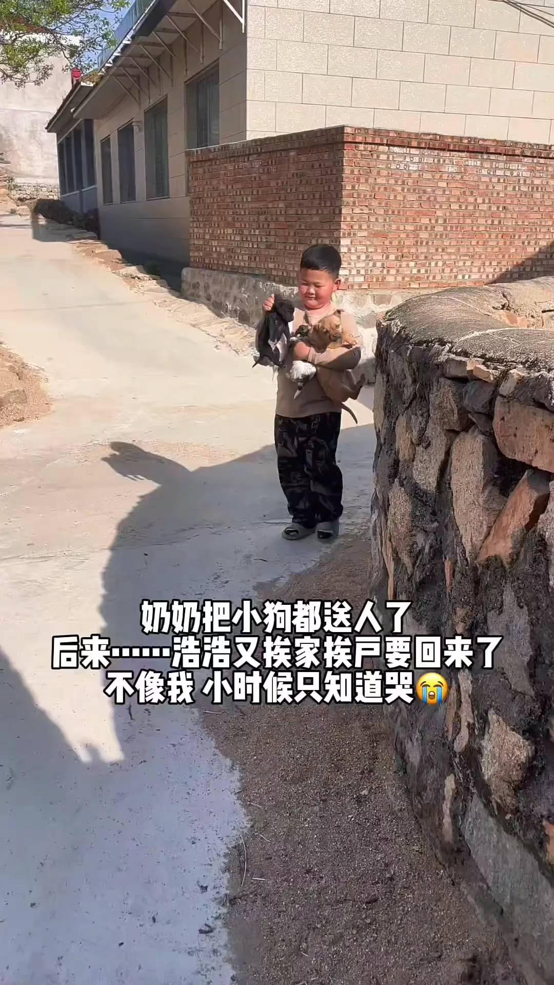 奶奶把小狗都送人了，浩又挨家挨户要回来了，不像我小时候只知道哭。
