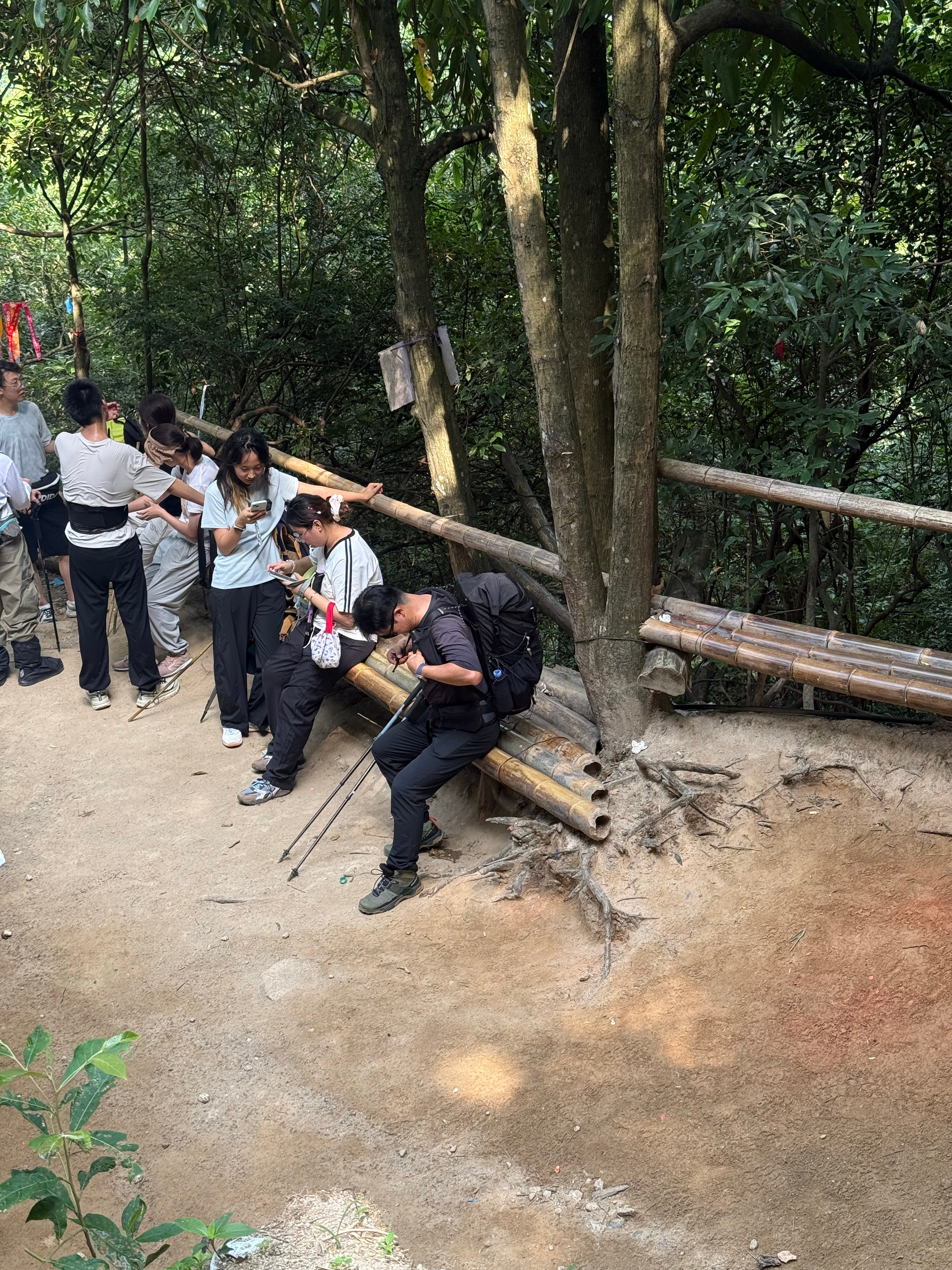 今天早上没发出来的微博心高气傲的小陈三步一停五步一歇这得等到啥时候啊？山上时不时