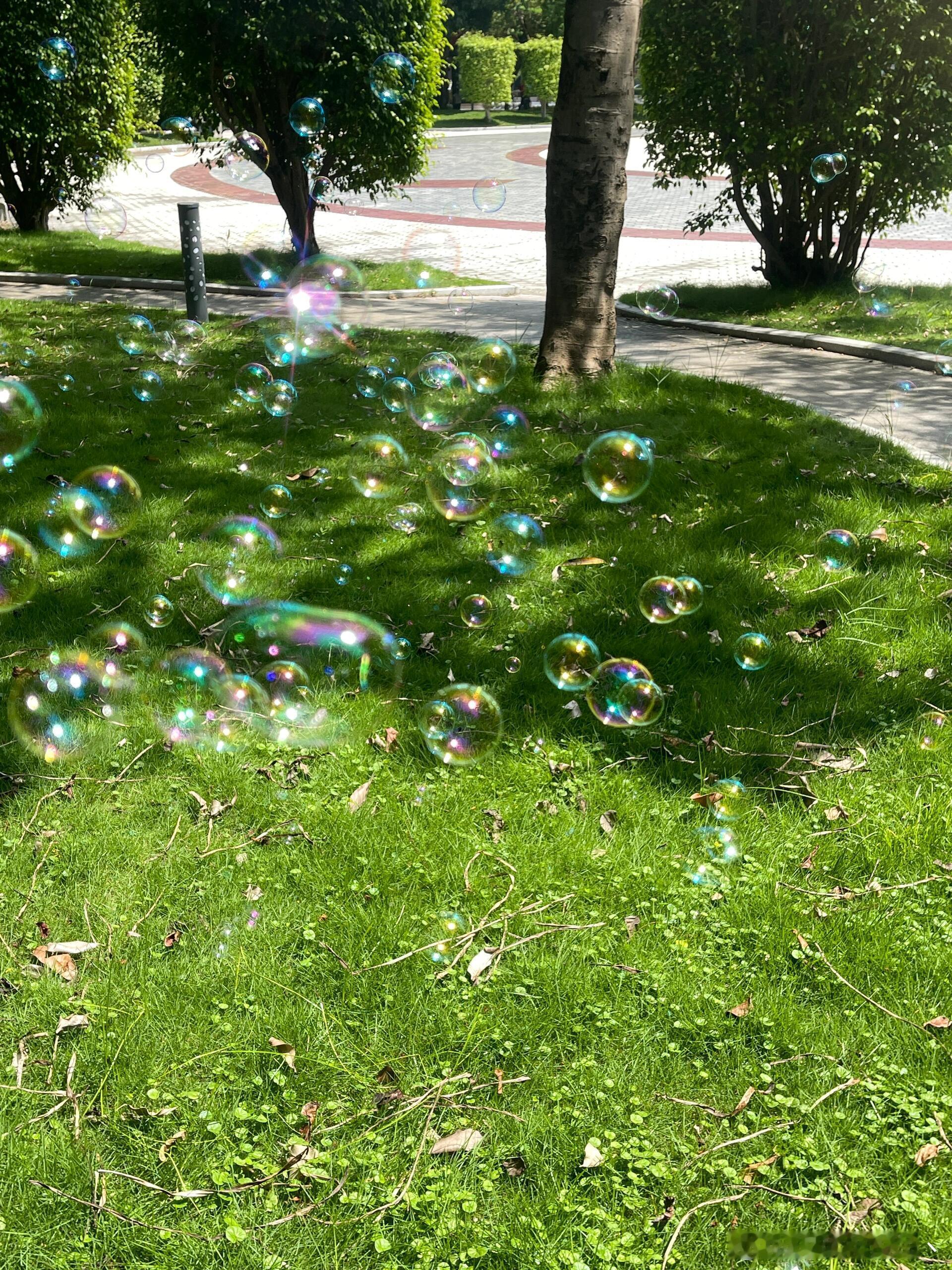 live｜i人的治愈时刻“少与人纠缠 多接触自然”到自然里去 感受自然带来的能量