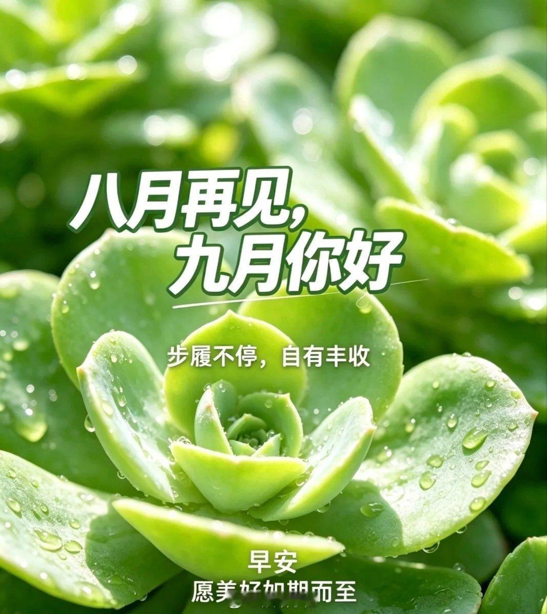 现在我明白了如果一个人真的喜欢你 他真的是会去找你的找你聊天 跟你分享他的所有分