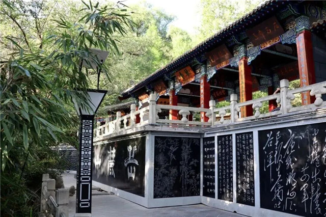 【这个秋天，来定西给自己慢慢充电】定西恰好是一座适合“慢充”的城市它有大地的厚重