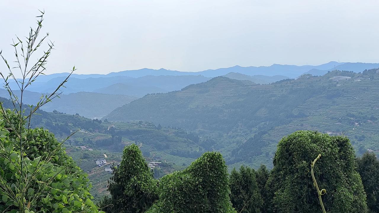 晒图笔记大赛成都龙泉山风景欣赏。这个季节的龙泉山上风景秀美，连绵起伏的群山被茂盛