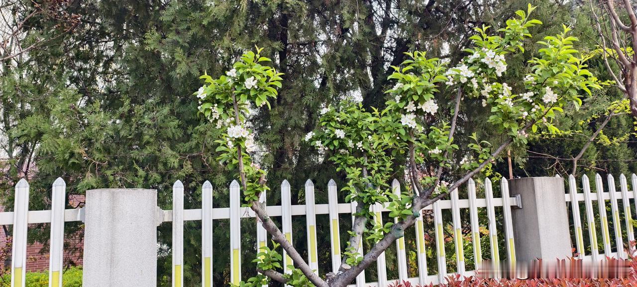 被客户骂哭的那个下午，我后来感谢了他三年

我刚开始做销售的时候，有个客户特别难