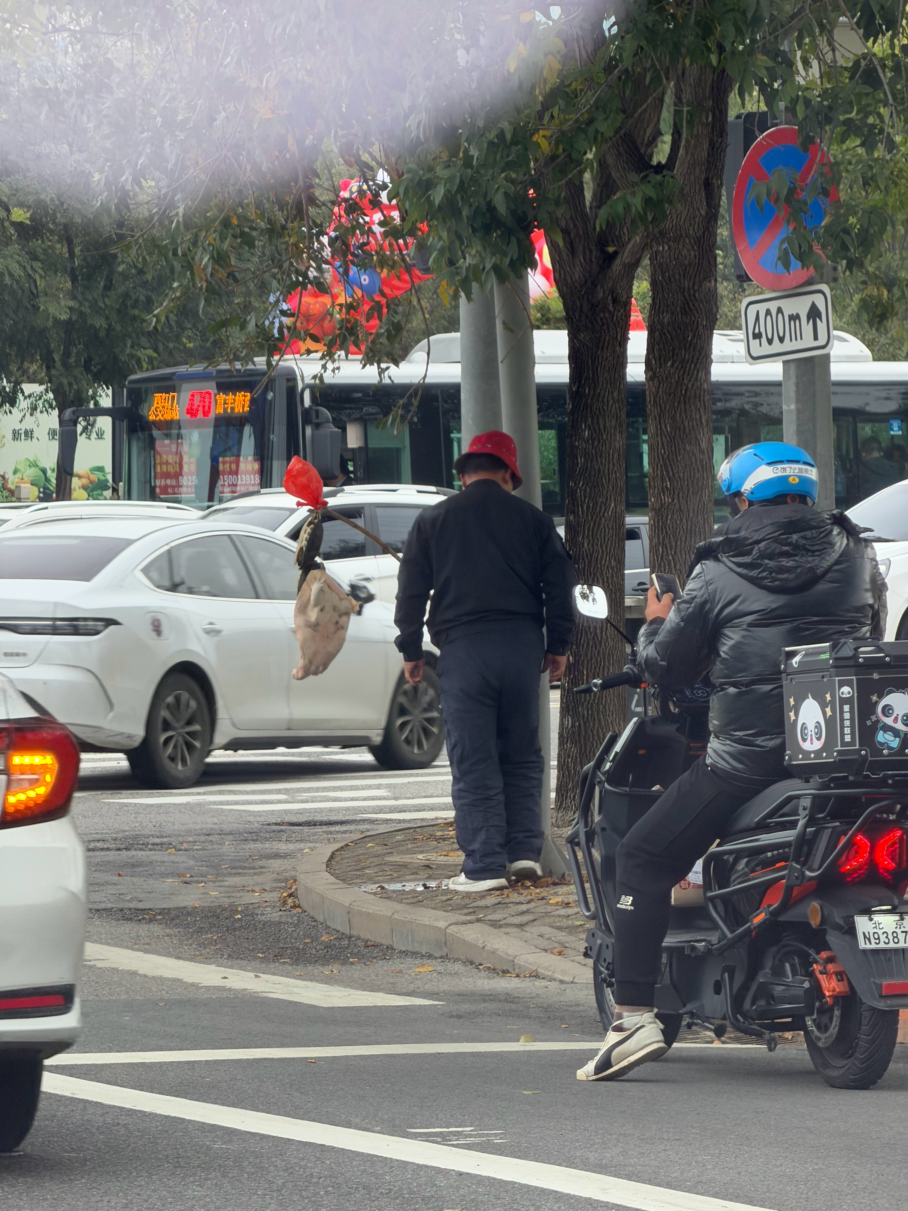 我也遇到路口卖王八的了……[允悲][允悲] ​​​