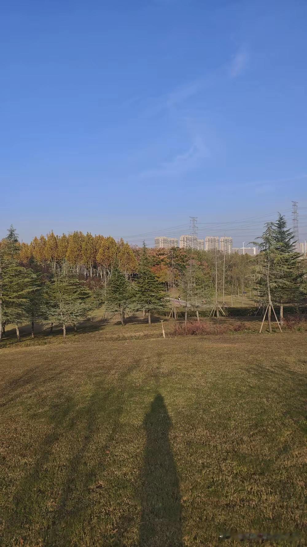 当妈之后，时间到底都花到哪儿去了呢？每天一睁眼，迎接我的就是洗了又洗的奶瓶总也刷