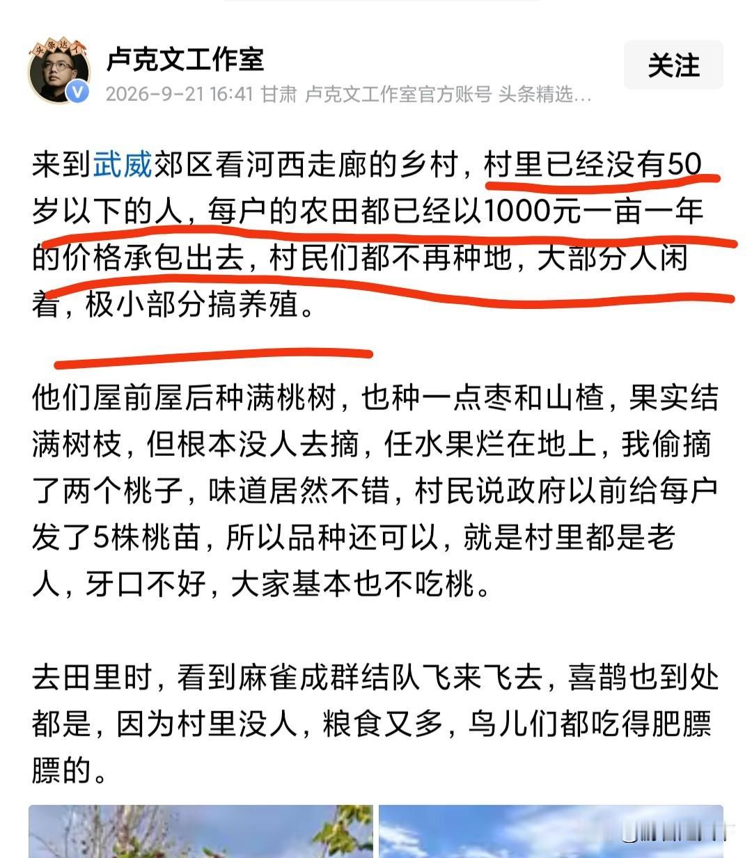 卢克文说的这个武威郊区的现状，在将来很有可能是国内很多村子的情况。
他说武威郊区