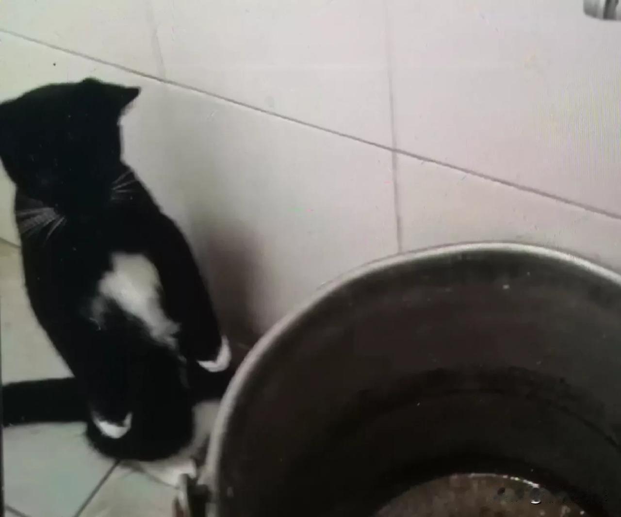 虽然国企在很多方面仍然具有一定的优势，但其“铁饭碗”地位已经不如以前那样稳固。员