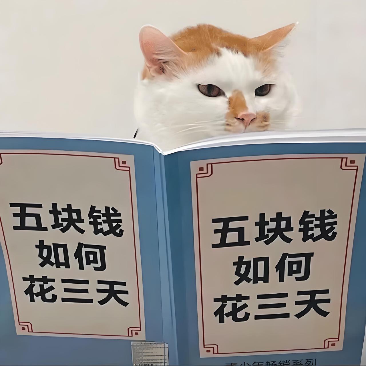 【我下定决心省钱的时候】
会发现啥都要进货了。
要吃饭，就要买菜了。
要洗澡，洗