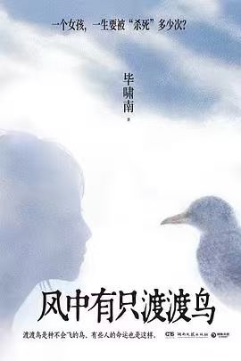 📖《风中有只渡渡鸟》📖作者:毕啸南★知名作家毕啸南全新小说力作，一个女孩，一